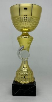 10.5Inch GOLD TROPHY