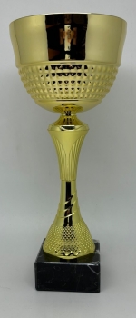 12.5Inch GOLD TROPHY