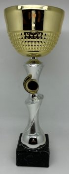 15Inch SILVER/GOLD TROPHY