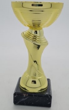 5.5inch GOLD CUP