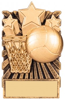 92MM NETBALL FRIDGE MAGNET